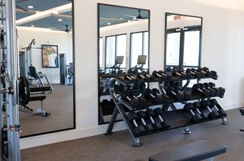 A gym with a mirror on the wall and a rack of dumbbells.